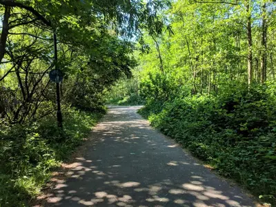 a road in the middle of a forest with trees at Lancaster Townhouse in Lancaster