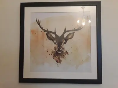 a framed picture of a deer head with horns at 140 Bond - Holiday Home in Blackpool