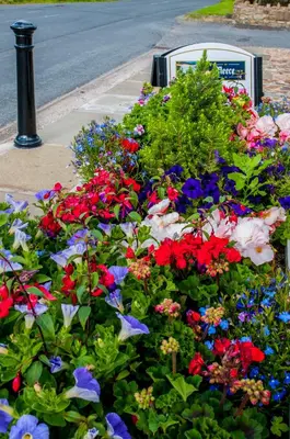 a garden of flowers in front of a street at The Fleece Inn in Shireshead