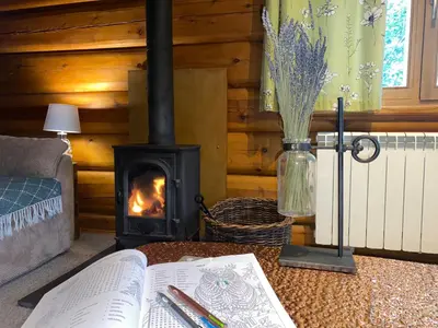 a fireplace in a living room with a book on a table at Log home village in Ulverston