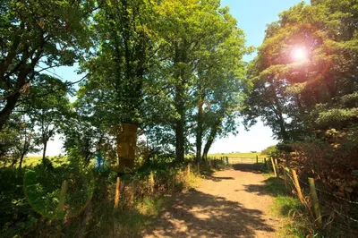 a dirt road with trees and a fence at Mowbreck Park in Kirkham