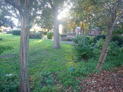 a group of trees in a park with grass at Sweet Suites Residence in Lytham St Annes