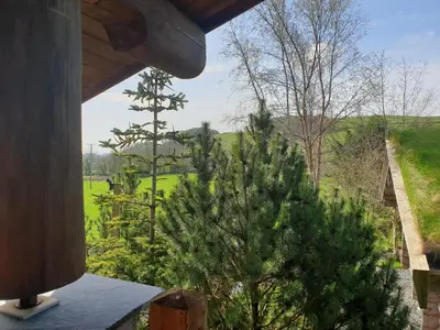 a view from the balcony of a house with a tree at Newland Valley Log Cabins in Ulverston
