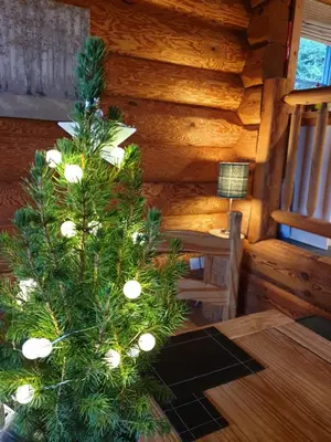 a christmas tree on a table in a cabin at Newland Valley Log Cabins in Ulverston