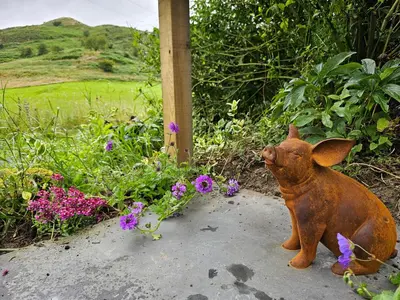 a small brown dog sitting on the ground next to flowers at Newland Valley Log Cabins in Ulverston