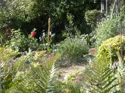 a garden with a red flower in the middle at Kentwood Guest House in Arnside
