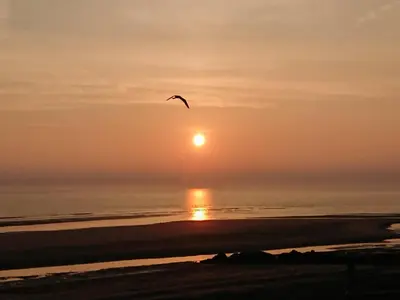 a bird flying over the ocean at sunset at Jasmin's Retreat in Cleveleys