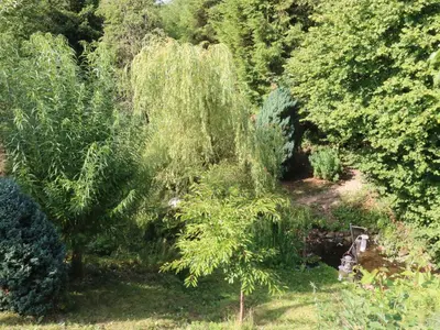 a garden with trees and a weeping willow tree at Sunnybrook Cottage in Clitheroe