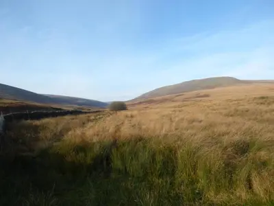 a field of tall grass with hills in the background at Sunnybrook Cottage in Clitheroe