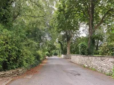 a dirt road with trees and a stone wall at Palm Court in Carnforth