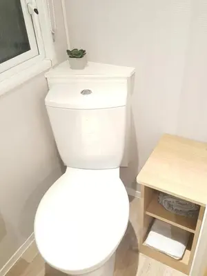 a white toilet with a plant on top of it at Rydal 38 Haven lakeland LA11 7LT in Flookburgh