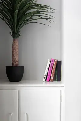 a plant sitting on top of a shelf with books at Comfortable Liverpool Townhouse - Close to City & Stadium in Liverpool