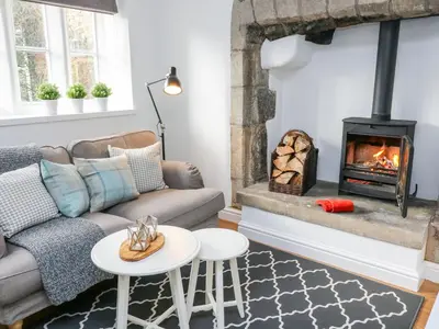 a living room with a couch and a fireplace at 3 Poole End in Clitheroe