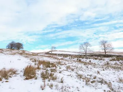 a snow covered field with trees on a hill at 3 Poole End in Clitheroe