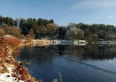 a river with ducks swimming in the water at The Strawbury Duck Inn in Darwen