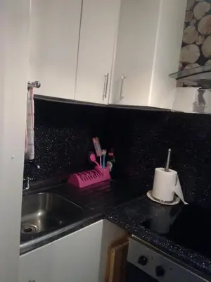 a kitchen counter with a sink and a pink dish brush at K.k's North Station Self catering holiday apartments in Blackpool
