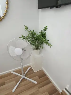 a white chair in a room with a plant at Bluebell Hotel in Blackpool