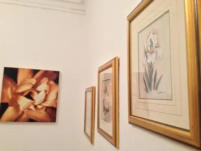 three pictures of flowers are hanging on a wall at Wilsons Hotel - Blackpool Tower View in Blackpool
