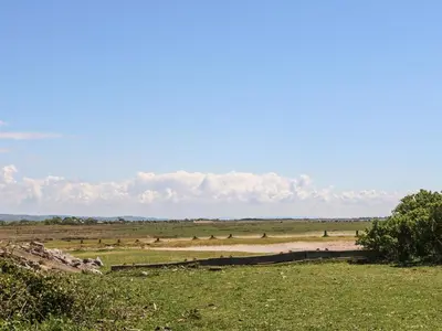 a field with grass and trees in the distance at Shorefields One in Morecambe