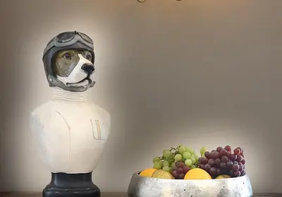 a statue of a dog wearing a helmet next to a bowl of fruit at Pippin Lodge Lytham in Lytham St Annes