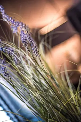 a woman is holding a bunch of lavender at N'ista Boutique Rooms Birkdale, Southport in Southport