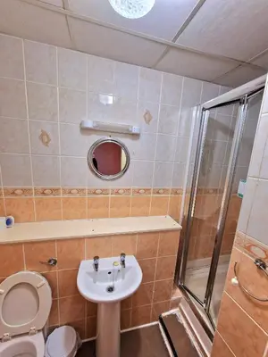 a bathroom with a toilet and a sink and a shower at The Albany hotel in Blackpool