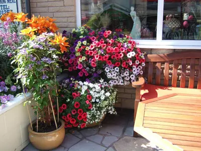 a bunch of flowers in front of a store at Granville Hotel in Blackpool