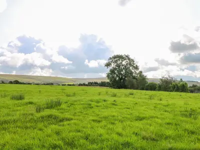 a field of green grass with a tree in the distance at The Croft in Chorley