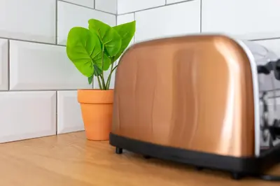 a bronze toaster sitting on the floor next to a plant at The World Famous Henderson House in Liverpool