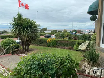 a view of a yard with a chair and plants at Savoy in Fleetwood