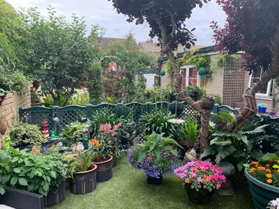 a garden filled with lots of plants and flowers at Savoy in Fleetwood
