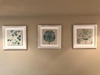 three framed prints of flowers on a wall at Cosy house set in historic town of Clitheroe in Clitheroe