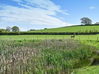 a deer standing in a field next to a fence at Birch Lodge - Uk30006 in Lindal in Furness