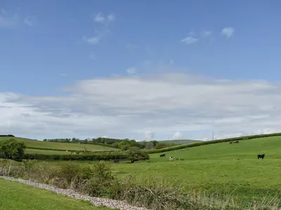 a green field with cows grazing in the distance at Pine Lodge - Uk30007 in Lindal in Furness
