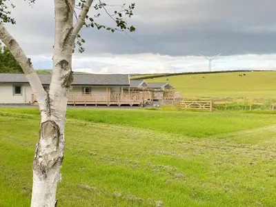 a house in the middle of a field with a tree at Larch Lodge - Uk30009 in Lindal in Furness