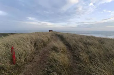 a dirt road through the tall grass on the beach at Unique, cosy, Lake District artist hideaway - 5 bd in Millom