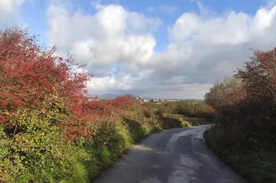 a road with trees on the side of it at Unique, cosy, Lake District artist hideaway - 5 bd in Millom