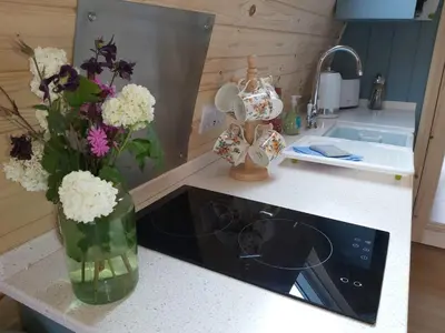 a vase of flowers on a counter in a kitchen at Orchard Glamping in Catterall