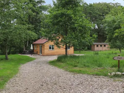 a cabin in the woods with a gravel road at Park Brook Dell in Preston