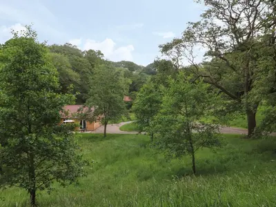 a field of grass with trees and a road at Park Brook Dell in Preston