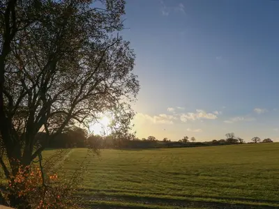a field with a tree and the sun in the distance at Box Tree Escapes in Lancaster