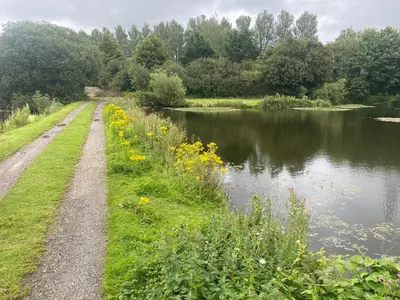 a dirt road next to a river with flowers at lake view staycations in Carnforth