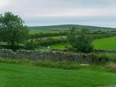 a stone wall in a field with animals in the distance at Wild Duck in Pennington