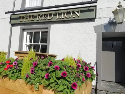 a pot of flowers in front of a building at Red Lion Rooms - Self Check In in Dalton in Furness