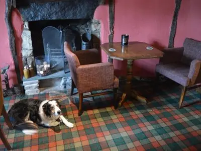 a dog laying on the floor in a room with a fireplace at The Engine Inn in Holker