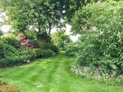 a garden with green grass and pink flowers and trees at Manor House in Accrington