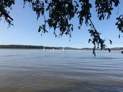 three sailboats on the water with trees in the foreground at Milo’s Retreat in Arnside