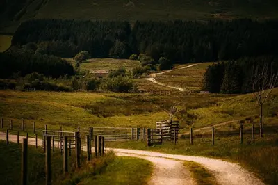 a dirt road in a field with a fence at Laythams Holiday Lets Retreat in Slaidburn
