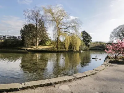 a river with ducks swimming in the water at Woodland Lodge in Grange Over Sands