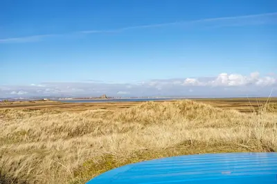 a blue frisbee in a field of tall grass at Finest Retreats - Lighthouse Cottage in Rampside